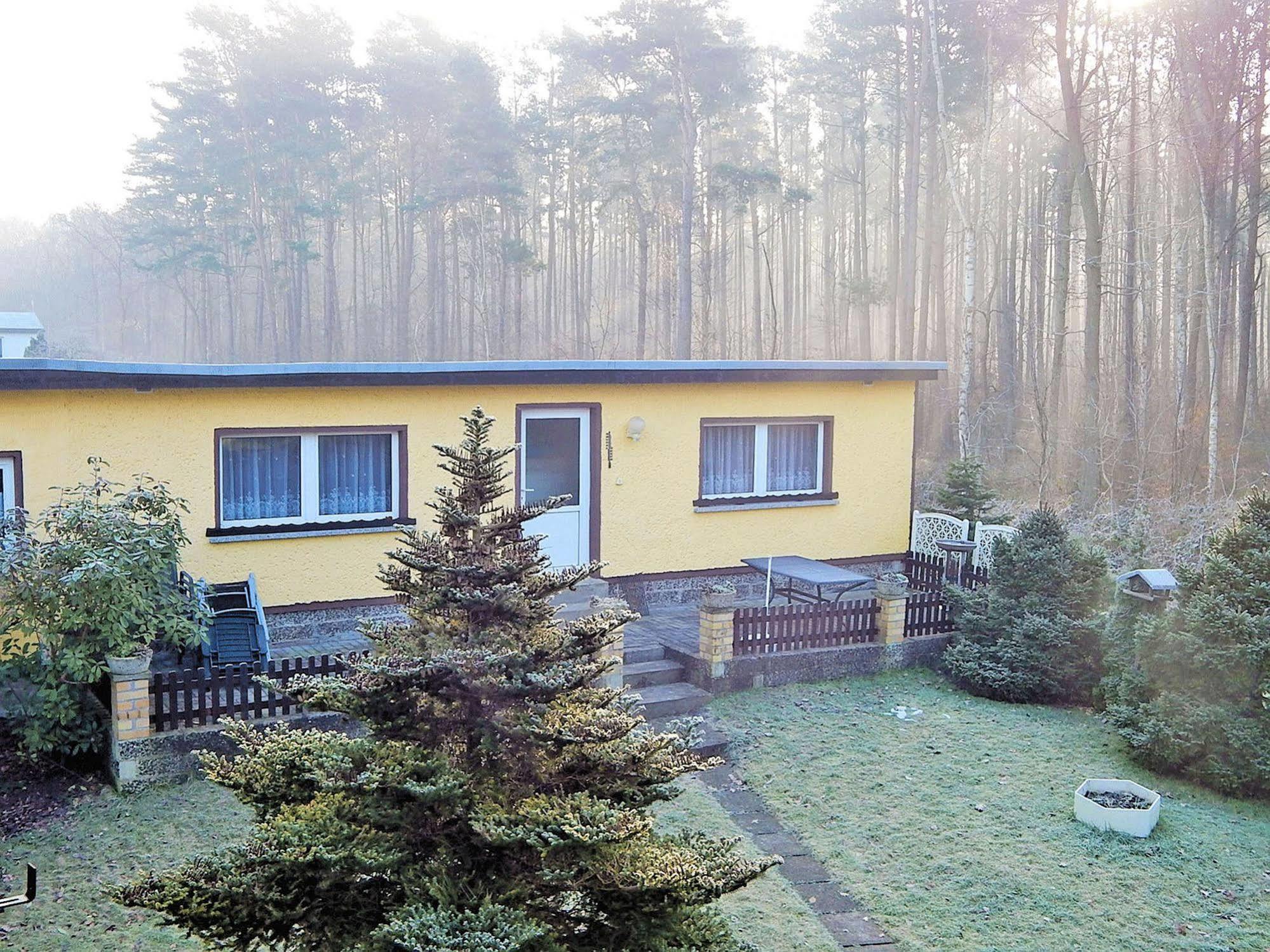 Apartamento Ferienhus Baabe Fewo 01 Terrasse, Sauna- Und Schwimmbadnutzung Im Ahoi Sellin Exterior foto